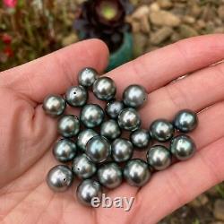 11.5-12mm round Grey Black Tahitian Pearl S925 Silver Pendant high luster TH54