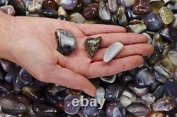 11 Pounds Tumbled Grey Botswana Agate A Grade Wire Wrapping, Reiki, Wicca