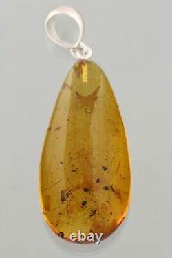 3 Fossil Insect GNATS Genuine BALTIC AMBER Silver Pendant 8.8g 230927-10