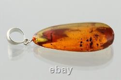 3 Fossil Insect GNATS Genuine BALTIC AMBER Silver Pendant 8.8g 230927-10