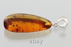 3 Fossil Insect GNATS Genuine BALTIC AMBER Silver Pendant 8.8g 230927-10