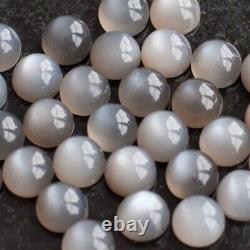 9mm Natural Gray Moonstone Round Cabochon Loose Gemstone Free Shipping GMSR003