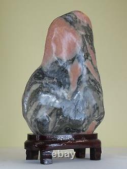 A pretty Chinese Pink Gray Scholar's Stone with dark hardwood Stand 18.5'' High
