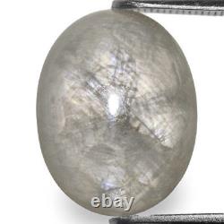 BURMA Trapiche Sapphire 10.43 Cts Natural Untreated Grey Oval