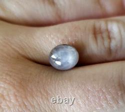 Beautiful Natural Grey Strong Star Sapphire 4.27ct Loose Gemstone Oval Shape