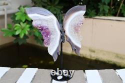 Carved Geode Gray agate Butterfly Wing Natural Reiki Crystal Decor + Stand JKM6