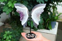 Carved Geode Gray agate Butterfly Wing Natural Reiki Crystal Decor + Stand JKM6