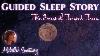 Enchanted Sleep Story The Forest Of Twisted Trees Bedtime Story For Grown Ups Asmr Fantasy