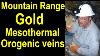 Find Rich Gold Veins Greenstone Belt Gold And Rich Placer Gold They All Come From These Deposits