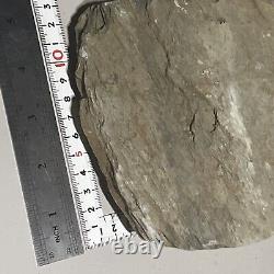 Japanese Natural Whetstone Raw Stone As Is For Making Nagura, Koppa 4000g