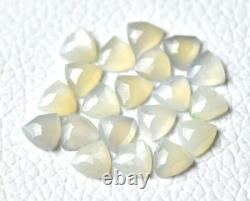 Natural Gray Moonstone Trillion Rose Cut loose Stone A Quality Gray Moonstone