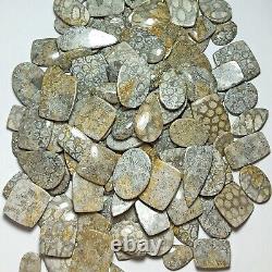 Natural Grey Fossil Coral Gemstone Lot, Mix Shape Bulk Cabochon, For Jewelry
