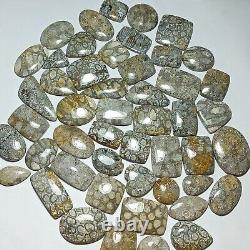 Natural Grey Fossil Coral Gemstone Lot, Mix Shape Bulk Cabochon, For Jewelry