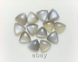 Natural Grey Moonstone Trillion Cabochon 6mm To 15mm Loose Gemstone