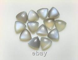 Natural Grey Moonstone Trillion Cabochon 6mm To 15mm Loose Gemstone