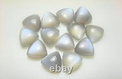 Natural Grey Moonstone Trillion Cabochon 6mm To 15mm Loose Gemstone