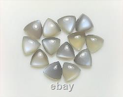 Natural Grey Moonstone Trillion Cabochon 6mm To 15mm Wholesale Loose Gemstone