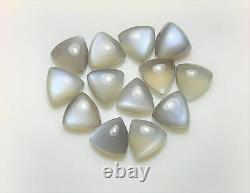 Natural Grey Moonstone Trillion Cabochon 6mm To 15mm Wholesale Loose Gemstone