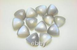 Natural Grey Moonstone Trillion Cabochon 6mm To 15mm Wholesale Loose Gemstone