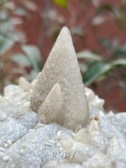 Rare 207g Natural Grey Dog Tooth Calcite Cluster Mineral Specimen Crystal