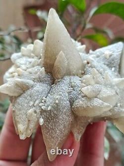 Rare 207g Natural Grey Dog Tooth Calcite Cluster Mineral Specimen Crystal