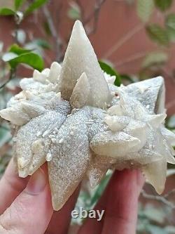 Rare 207g Natural Grey Dog Tooth Calcite Cluster Mineral Specimen Crystal