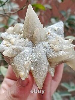 Rare 207g Natural Grey Dog Tooth Calcite Cluster Mineral Specimen Crystal