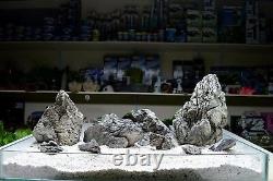 Seiryu Ryuoh Stone Ada Style Aquascaping Iwagumi Aquarium Rock
