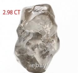 2.98 Ct Natural Loose Diamond Rough Noir Gris Couleur I3 Clarity 10.10 MM L8971