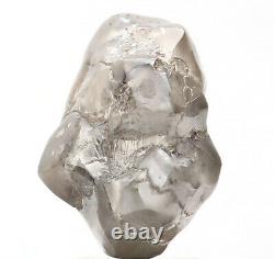 2.98 Ct Natural Loose Diamond Rough Noir Gris Couleur I3 Clarity 10.10 MM L8971