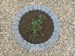 78 cm cercle granit bague arbre fleur entourer herbe bordure pavés