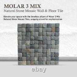 Carrelage mural et de sol en mosaïque de pierre naturelle Molar 3 Mix (21,36 $/pied carré)
