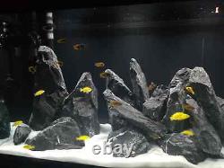 Décoration naturelle en pierre grise foncée pour aquarium de poissons de roche de 25 kg, prête à l'emploi.
