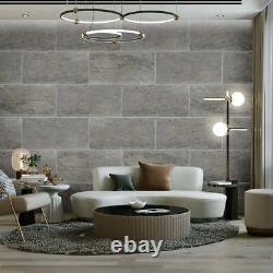 Feuille de placage grise Option intérieure décorative indienne Mur sol 610x1220X1-2mm