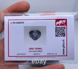 Gemme de spinelle grise naturelle certifiée GFCO de 1,78 ct, taille en forme de coeur, Tanzanie