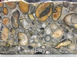 J Jour P07 Elstree Hertfordshire Puddingstone Polished Rock Al4 Pudding Stone