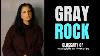 Qu'est-ce Que Cela Signifie Pour Aller Gray Rock Glossaire Des Relations Narcissiques