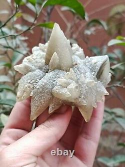 Rare 207g Grappe de spécimen minéral de cristal de Calcite Dog Tooth gris naturel