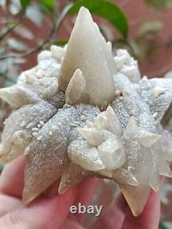 Rare 207g Grappe de spécimen minéral de cristal de Calcite Dog Tooth gris naturel