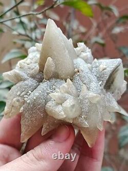 Rare 207g Grappe de spécimen minéral de cristal de Calcite Dog Tooth gris naturel