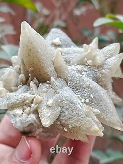 Rare 207g Grappe de spécimen minéral de cristal de Calcite Dog Tooth gris naturel