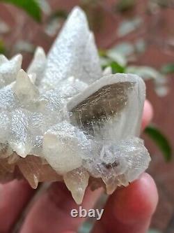 Rare 207g Grappe de spécimen minéral de cristal de Calcite Dog Tooth gris naturel