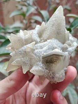 Rare 207g Grappe de spécimen minéral de cristal de Calcite Dog Tooth gris naturel