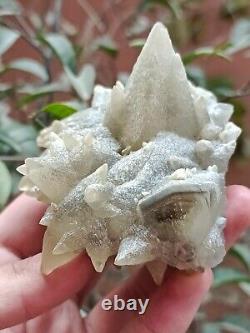 Rare 207g Grappe de spécimen minéral de cristal de Calcite Dog Tooth gris naturel