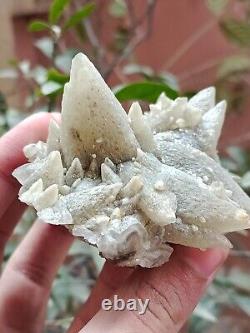 Rare 207g Grappe de spécimen minéral de cristal de Calcite Dog Tooth gris naturel