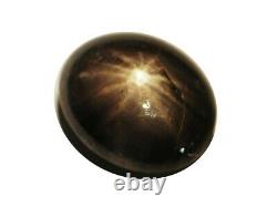 Star Sapphire 12 Ray 3.43 Cts Oval Dark Grey Natural Ceylon Loose Gemstone 20462
